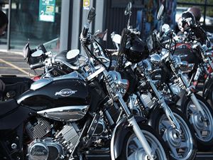 女神聖火Venox車友攝影會