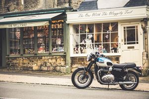 TRIUMPH T100