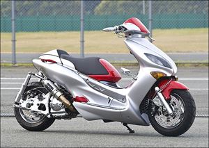 YAMAHA MAXSTER