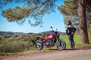 BENELLI LEONCINO 500