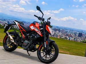 風度翩翩待轉公爵