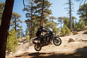 Harley-Davidson Pan America 1250
